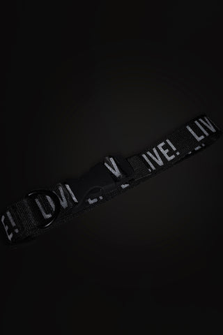 REFLEX LIVE! PET COLLAR