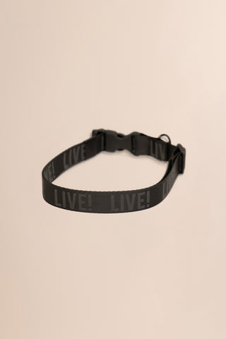 REFLEX LIVE! PET COLLAR