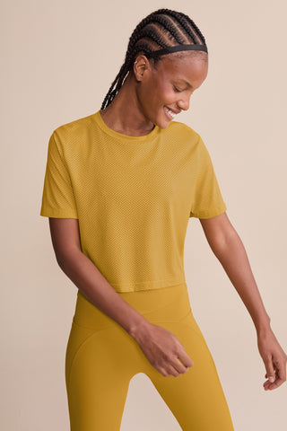 Air Wind Cropped Top