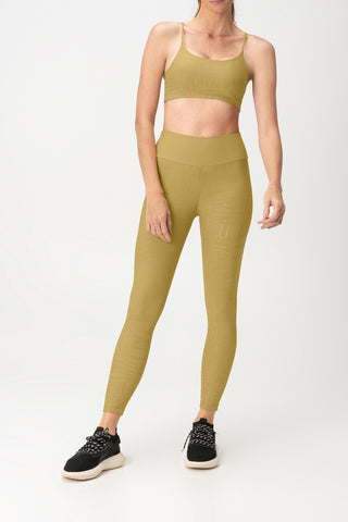 LIVE! Sense Pro® Curve Bra