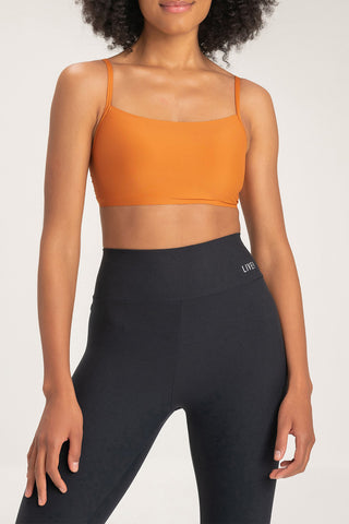 Pro Sports Bra