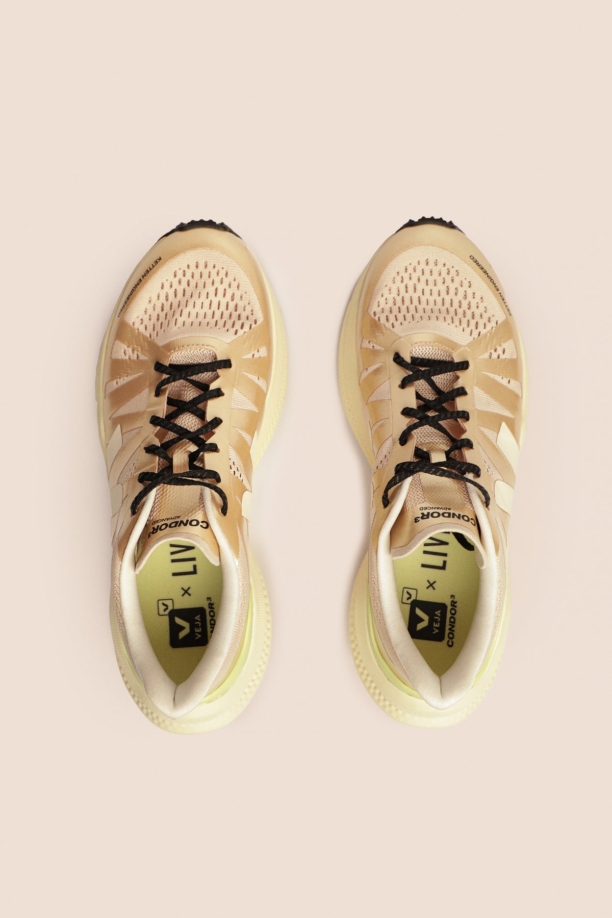 Condor 3 Engineered-Mesh Golden Dusk