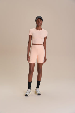 New Ribbed Knit Cropped Blouse