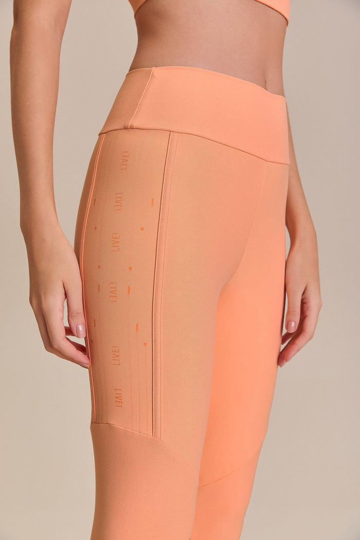 LIVE! Active® Leggings