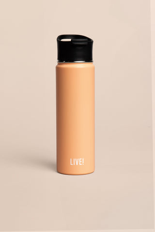 Double Wall Bottle 21.97 oz