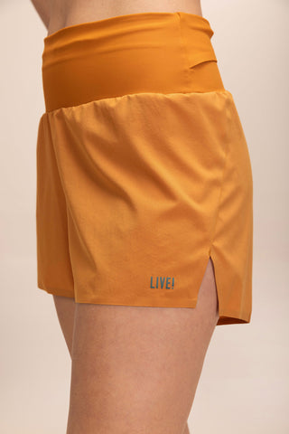 Run Dryside Shorts
