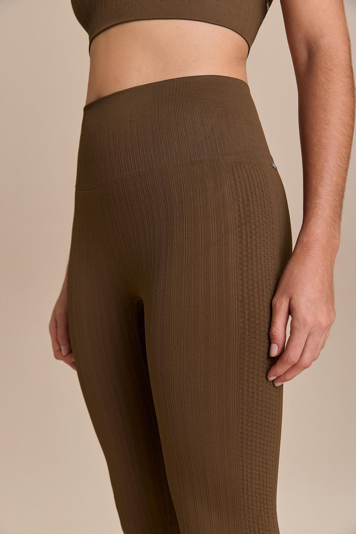 Seamless Pulse Stirrup Leggings