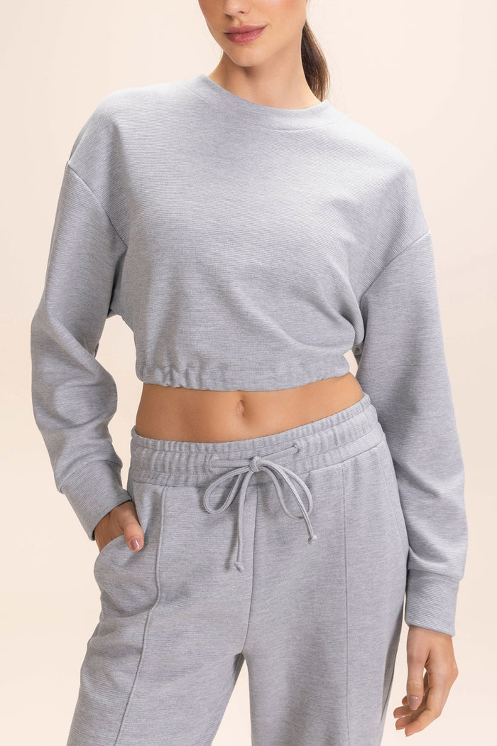 Sleek Long Sleeve Crop Sweatshirt