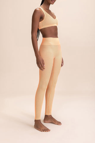 Rib Seamless Leggings