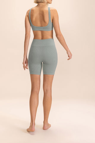 Rib Seamless Shorts