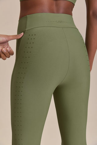 Equilibrium Curve Legging