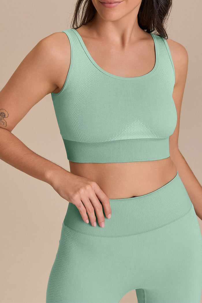 Seamless Knit® Gradient Bra