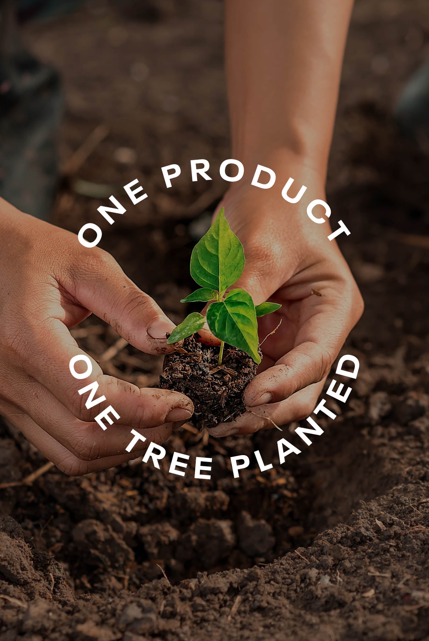 One Tree Planted Tree One Tree Planted – LIVE! Activewear